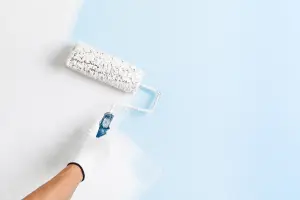 Internal Wall Painting